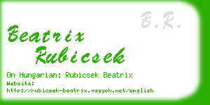 beatrix rubicsek business card